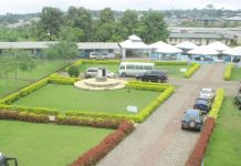 Interview With Dr. Felicitas Atabong Mokom
