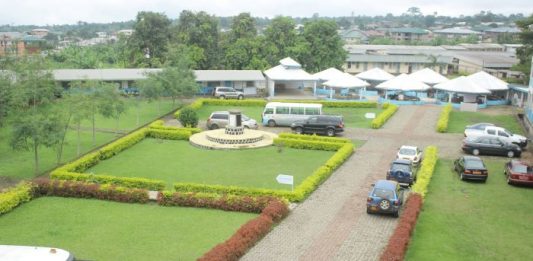 Interview With Dr. Felicitas Atabong Mokom