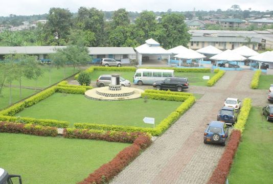 Interview With Dr. Felicitas Atabong Mokom
