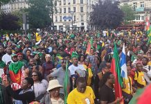Internet and Political Contestation of Diasporas: Toward the Emergence of a new Democratic Debate in Cameroon