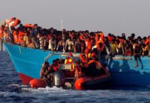 African’s Migration and UN Multilateralism oopération Migratoire