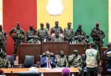 The Endless Transitions After Coups in Africa: Democracy in Turmoil Military Coups in Africa