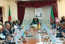 Decentralization in Cameroon: Between Ethno-Regional Logics and National Interests
