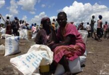 Agenda 2063 of the African Union: Towards Africanization of Humanitarian Actions adapted to African Crises?