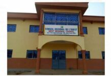 Trusteeship and Regions in Cameroon: Regional Autonomy in question?
