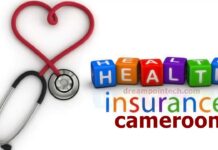 The Contribution of Private Health Insurance to the Financing of Healthcare in Cameroon
