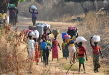 Examining Conflict-induced Migration within the CEMAC Zone Conflict-induced Migration within the CEMAC
