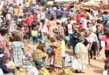 The different uses of ethnicity in the Constitution ethnicity in cameroon