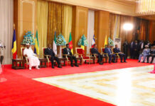 PREF-CEMAC: The Urgent Need to Focus on Economic Convergence and Catch-up