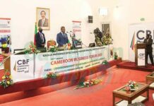 The Urgent Need to Improve the Business Climate in Cameroon