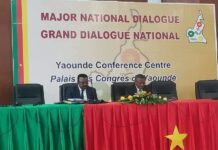 Beyond Power Politics: Are there any prospects for a successful peace-building dialogue in Cameroon?