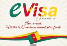 The Socio-Economic Implications of Visa Digitalization in Cameroon Visa Digitalization in Cameroon