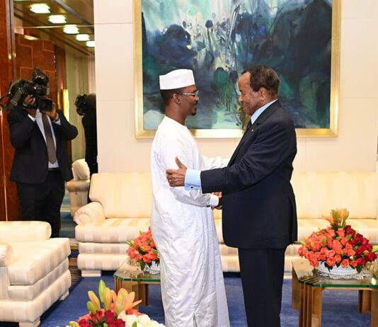 An analysis of the diplomatic crisis between Cameroon and Chad: What are the implications for the Central African sub-region?