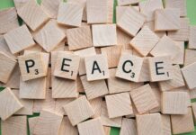 Appraising the Role of Think Tanks in Peacebuilding in Africa