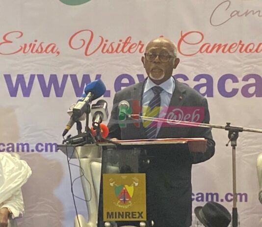Benefits and Caveats of Cameroon’s Transition into the Electronic Visa System