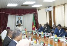 Highlighting the challenges of Regional Councils in the Implementation of Effective Decentralization in Cameroon