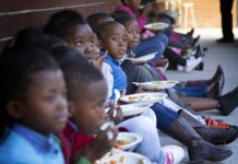 The Right to Food in Africa: Meaning and Issues