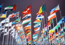The Role of International Organizations in Promoting Democratic Governance in Central Africa