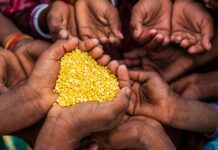 From Frying Pan to Fire: The Case of Food Insecurity and Antimicrobial Resistance