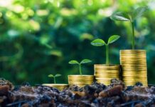 The Challenges and Opportunities of Green Financing in Sub-Saharan Africa