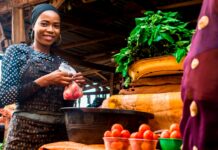 Enhancing SME development in Cameroon: Evaluating government support program
