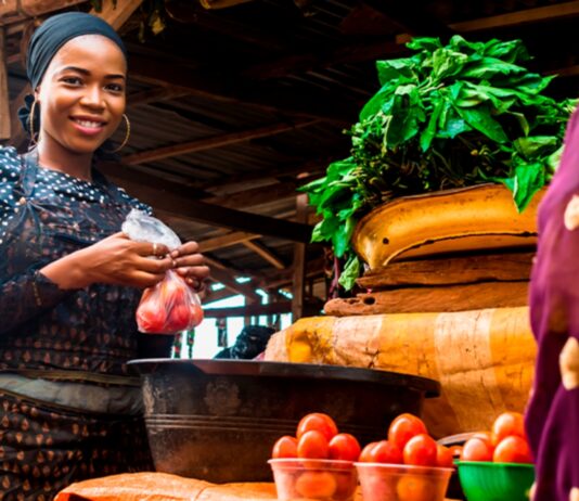Enhancing SME development in Cameroon: Evaluating government support program