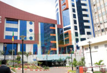 Eradicating corruption in Cameroon: Case of the Directorate General of Taxation (DGT)