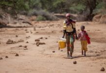 Insecurity and poverty: How can we put an end to this ‘fertile couple’ in Central Africa?