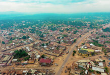 The Failure of Large-Scale Land Acquisition in the Land Governance in Cameroon