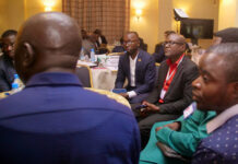 The role of think tanks in strengthening democratic institutions in Central Africa