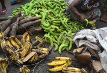 Deadly poisons in our plates: Curbing the Use of Unsafe Chemicals in Cameroonian Food Markets