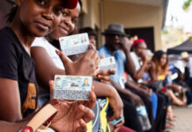 Democratization Challenges: Women, Youth, and Electoral Dynamics in French-Speaking Africa