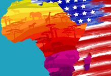 America’s 2024 General Elections and U.S.-Africa Relations: A Geopolitical Perspective