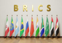 The BRICS Expansion Underscores the Concept of Sea Power