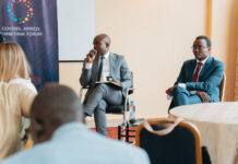 Steadfastness in Perilous Times: The role of Governance and Democracy Think Tanks in Spotlighting the Rising Authoritarianism in Francophone Africa