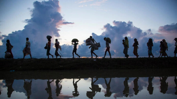 Forced Displacement