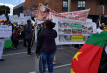 Civil Society and Human Rights Promotion: the case of Cameroon