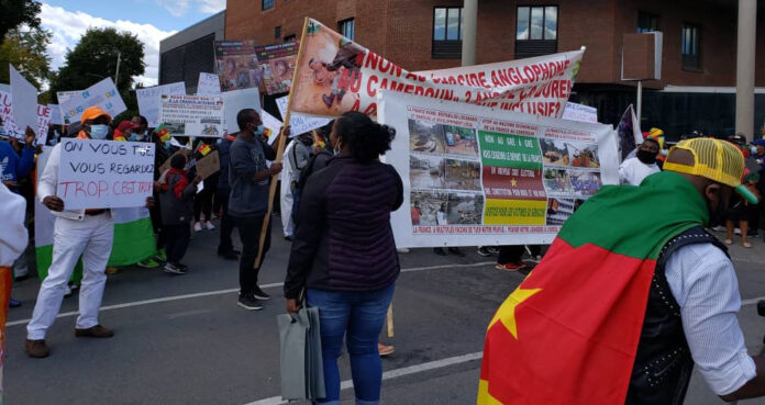 Human Rights Promotion