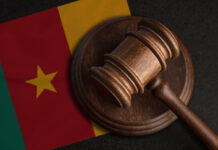 The sentencing of Abdul Karim Ali backpedals Cameroon government’s peace efforts.