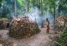 Participatory Practices and the Futures of Cameroon’s Indigenous Baka People