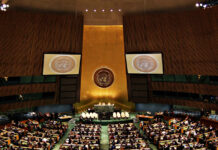 Editorial Note: The UN at a Crossroads in a Fragmented World