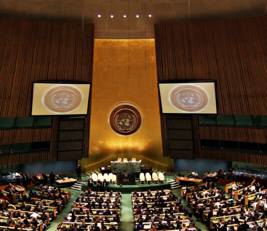 Editorial Note: The UN at a Crossroads in a Fragmented World
