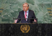 A New UN Leadership for a New Global Order: Advancing Africa’s Representation in the Security Council