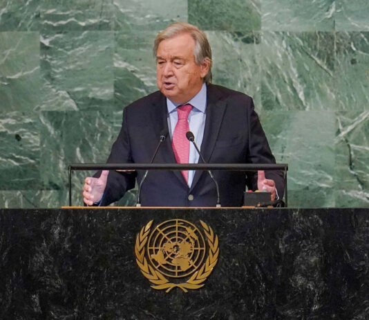 A New UN Leadership for a New Global Order: Advancing Africa’s Representation in the Security Council