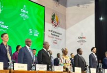 Leveraging WTO MC14 Investment Facilitation for Development to Accelerate Structural Transformation in Cameroon