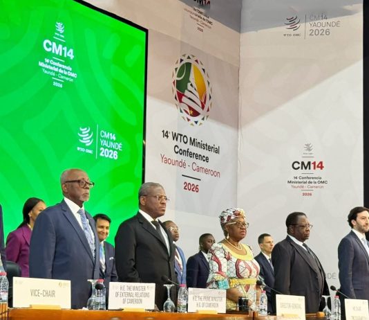 Leveraging WTO MC14 Investment Facilitation for Development to Accelerate Structural Transformation in Cameroon