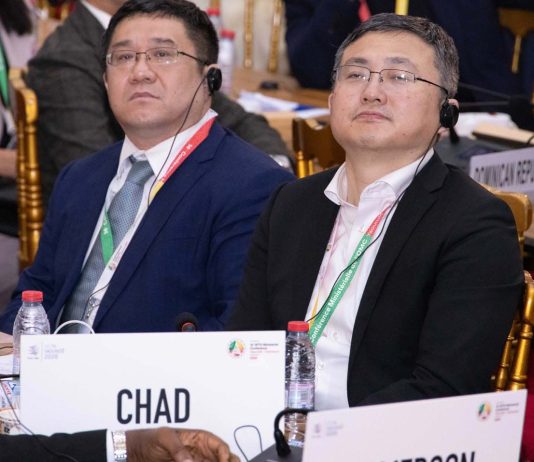 Editorial Note: Perspectives on the WTO Ministerial Conference in Cameroon