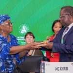 The 14th Ministerial Conference of the World Trade Organization in Yaoundé: a missed opportunity for African diplomacy?