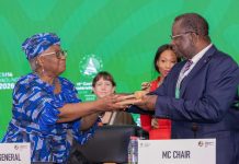 The 14th Ministerial Conference of the World Trade Organization in Yaoundé: a missed opportunity for African diplomacy?